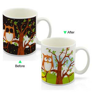 CC8095W-032OW Color Change Heat Sensitive Funny Mug 11oz Ceramic White Coffee Mug Novelty OWL Design Mug